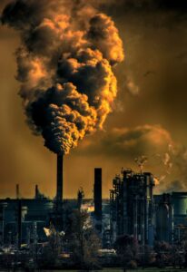 Greenwashing Goes to Court: ACCC v Grill’d and the June 2026 Roundup